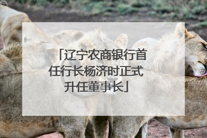 辽宁农商银行首任行长杨济时正式升任董事长