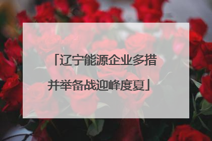 辽宁能源企业多措并举备战迎峰度夏
