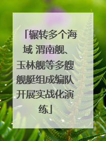 辗转多个海域 渭南舰、玉林舰等多艘舰艇组成编队开展实战化演练