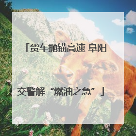 货车抛锚高速 阜阳交警解“燃油之急”