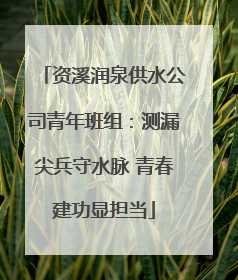 资溪润泉供水公司青年班组：测漏尖兵守水脉 青春建功显担当