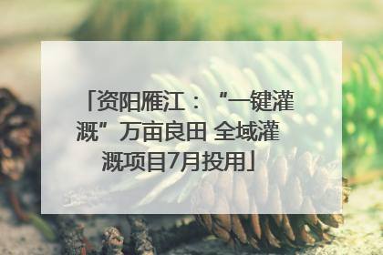 资阳雁江：“一键灌溉”万亩良田 全域灌溉项目7月投用