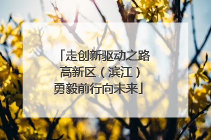 走创新驱动之路 高新区（滨江）勇毅前行向未来