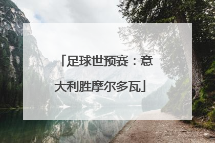 足球世预赛：意大利胜摩尔多瓦