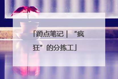 蹲点笔记｜“疯狂”的分拣工