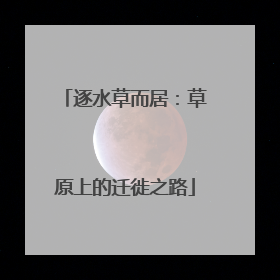 逐水草而居：草原上的迁徙之路