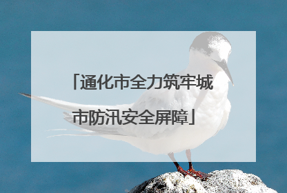 通化市全力筑牢城市防汛安全屏障