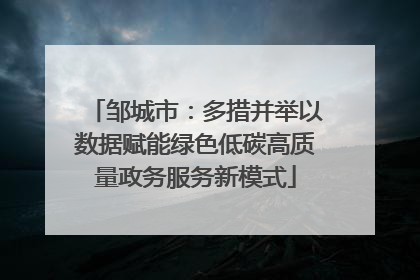 邹城市：多措并举以数据赋能绿色低碳高质量政务服务新模式