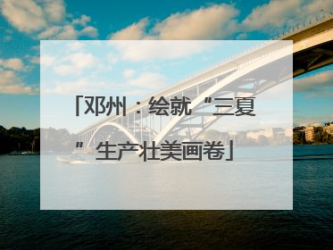 邓州：绘就“三夏”生产壮美画卷