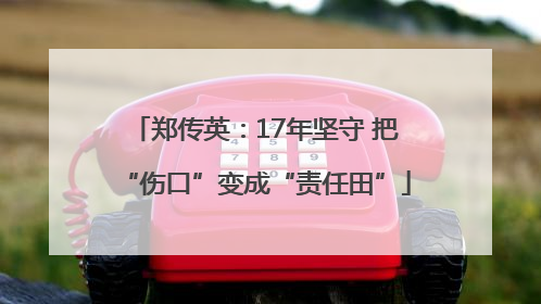 郑传英：17年坚守 把“伤口”变成“责任田”