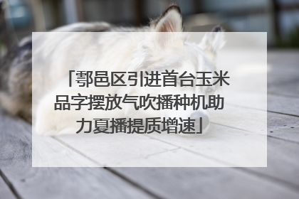 鄠邑区引进首台玉米品字摆放气吹播种机助力夏播提质增速