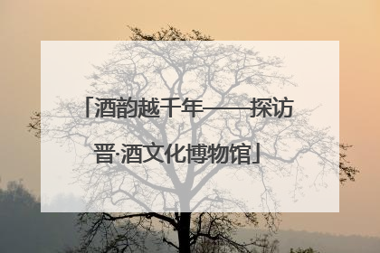 酒韵越千年——探访晋·酒文化博物馆