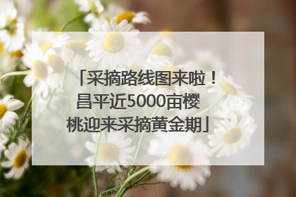 采摘路线图来啦！昌平近5000亩樱桃迎来采摘黄金期