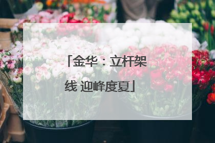 金华：立杆架线 迎峰度夏
