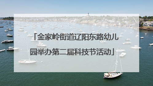 金家岭街道辽阳东路幼儿园举办第二届科技节活动