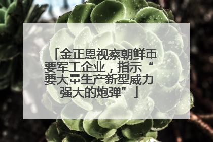 金正恩视察朝鲜重要军工企业，指示“要大量生产新型威力强大的炮弹”