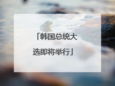韩国总统大选即将举行