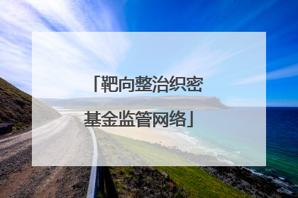 靶向整治织密基金监管网络