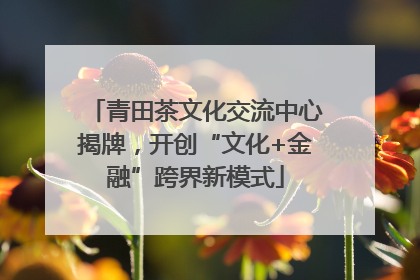 青田茶文化交流中心揭牌，开创“文化+金融”跨界新模式