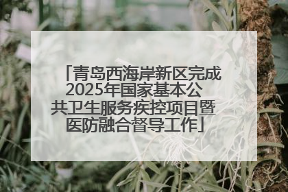 青岛西海岸新区完成2025年国家基本公共卫生服务疾控项目暨医防融合督导工作