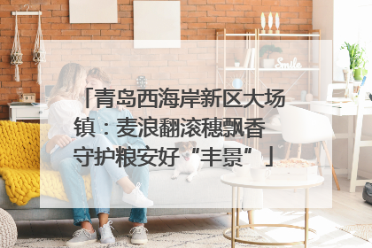青岛西海岸新区大场镇：麦浪翻滚穗飘香 守护粮安好“丰景”