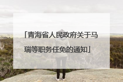 青海省人民政府关于马瑞等职务任免的通知