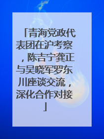 青海党政代表团在沪考察，陈吉宁龚正与吴晓军罗东川座谈交流，深化合作对接