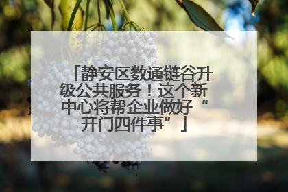 静安区数通链谷升级公共服务！这个新中心将帮企业做好“开门四件事”