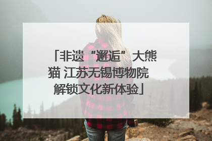 非遗“邂逅”大熊猫 江苏无锡博物院解锁文化新体验