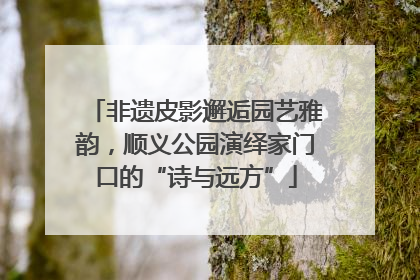 非遗皮影邂逅园艺雅韵，顺义公园演绎家门口的“诗与远方”