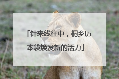 针来线往中，桐乡历本袋焕发新的活力