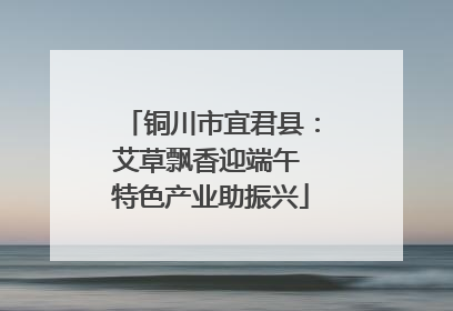 铜川市宜君县：艾草飘香迎端午 特色产业助振兴