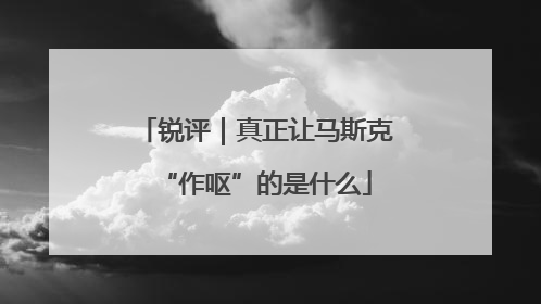 锐评｜真正让马斯克“作呕”的是什么
