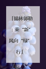 锡林郭勒：乘“新”风向“绿”行