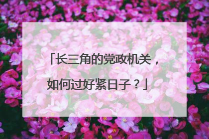 长三角的党政机关，如何过好紧日子？
