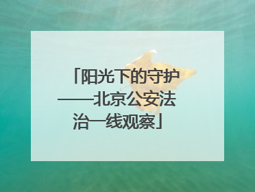 阳光下的守护——北京公安法治一线观察