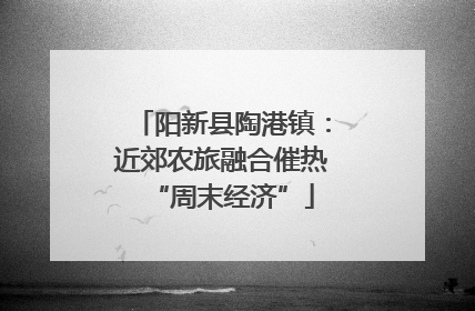 阳新县陶港镇：近郊农旅融合催热“周末经济”