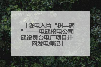 陇电入鲁“树丰碑”——电建核电公司建设灵台电厂项目并网发电侧记