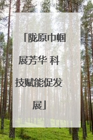 陇原巾帼展芳华 科技赋能促发展