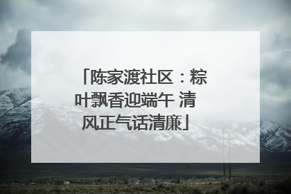 陈家渡社区：粽叶飘香迎端午 清风正气话清廉