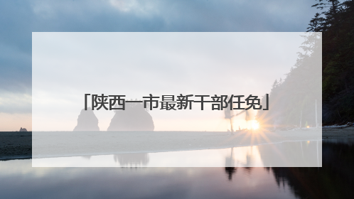 陕西一市最新干部任免