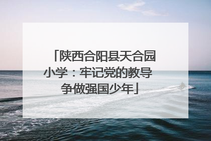 陕西合阳县天合园小学：牢记党的教导 争做强国少年