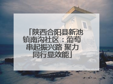 陕西合阳县新池镇南沟社区：葡萄串起振兴路 聚力同行显效能