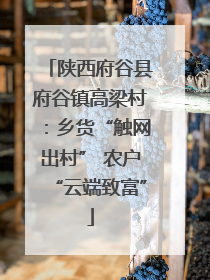 陕西府谷县府谷镇高梁村：乡货“触网出村” 农户“云端致富”