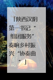 陕西汉阴第一书记“组团服务”奏响乡村振兴“协奏曲”