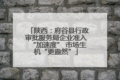 陕西：府谷县行政审批服务局企业准入“加速度” 市场生机“更盎然”