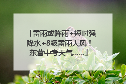 雷雨或阵雨+短时强降水+8级雷雨大风！东营中考天气……