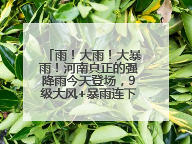 雨！大雨！大暴雨！河南真正的强降雨今天登场，9级大风+暴雨连下3天！