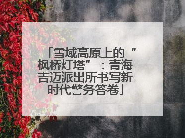 雪域高原上的“枫桥灯塔”：青海吉迈派出所书写新时代警务答卷