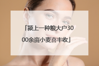 颍上一种粮大户3000余亩小麦喜丰收